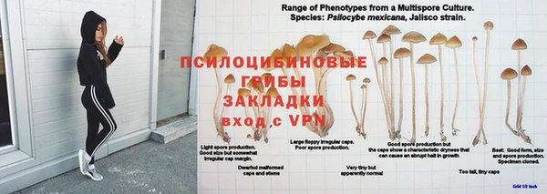 крисы Михайлов