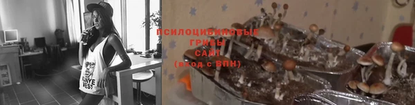 винт Михайловск