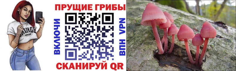 Псилоцибиновые грибы мицелий  Берёзовский 